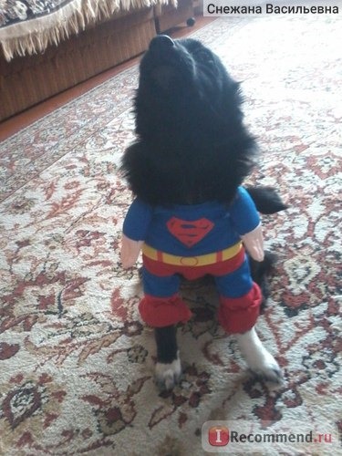 Одежда для собак Aliexpress Blue Red Puppy Pet Dog Clothes Costumes Superman Apparel T Shirt Suit фото
