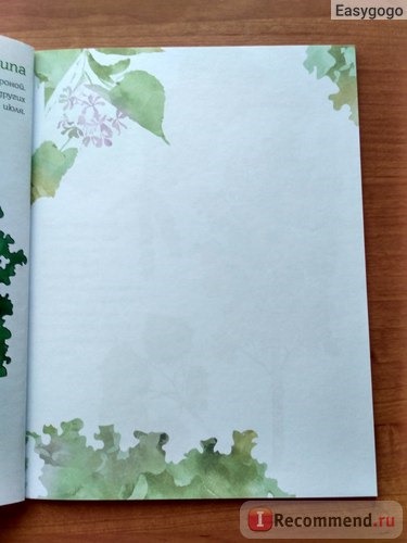 Мой первый гербарий. Цветы и листья. Вирио О., Фишер Т. фото