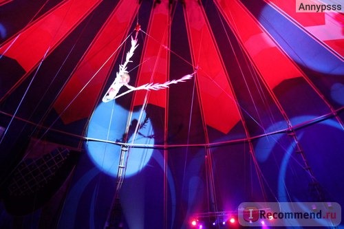 Цирк в Автово, Санкт-Петербург фото