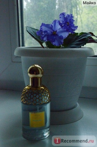 Guerlain Aqua Allegoria Teazzurra фото