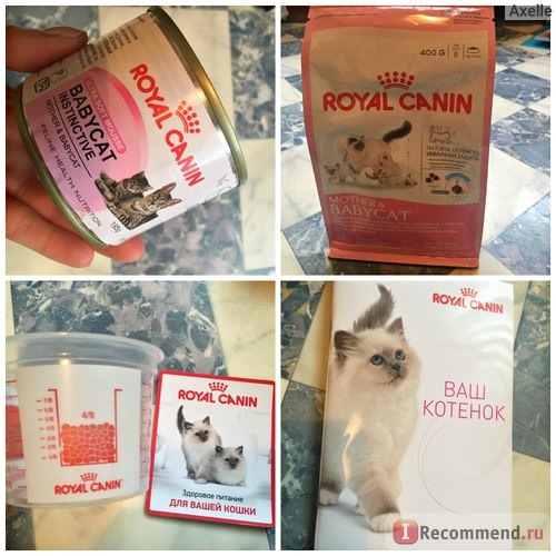 Корм для кошек Royal Canin Mother & Babycat фото