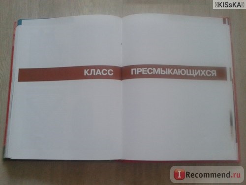 Красная книга России. Оксана Скалдина фото