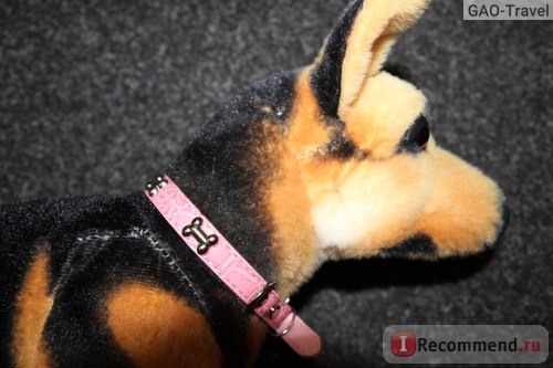 Ошейник Aliexpress Pets Small Dogs Bone Buckle Candy Color PU Leather Collar Cat Studded Neck Strap Dogs Collar фото