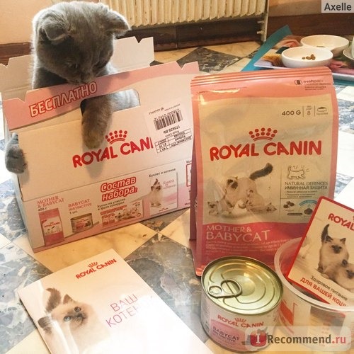 Корм для кошек Royal Canin Mother & Babycat фото