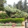  Paphos Gardens Holiday Resort 3* 3*, Кипр, Пафос фото