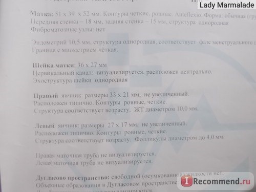 УЗИ органов малого таза в платной клинике в 2014 году