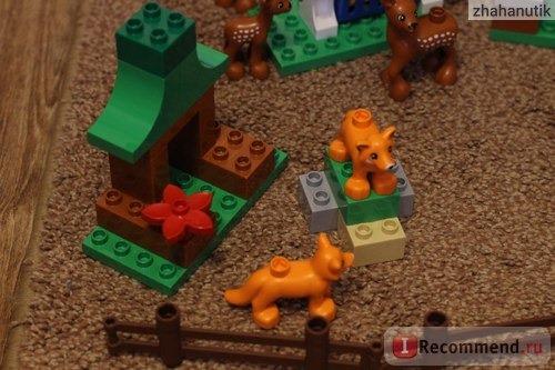 Конструктор LEGO DUPLO 10584 Лесной заповедник