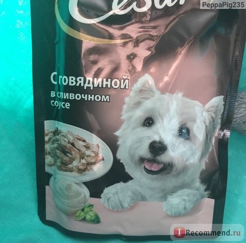Корм для собак Cesar С говядиной в сливочном соусе фото