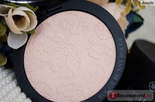 Хайлайтер Rouge Bunny Rouge Highlighting Powder Loves Lights фото