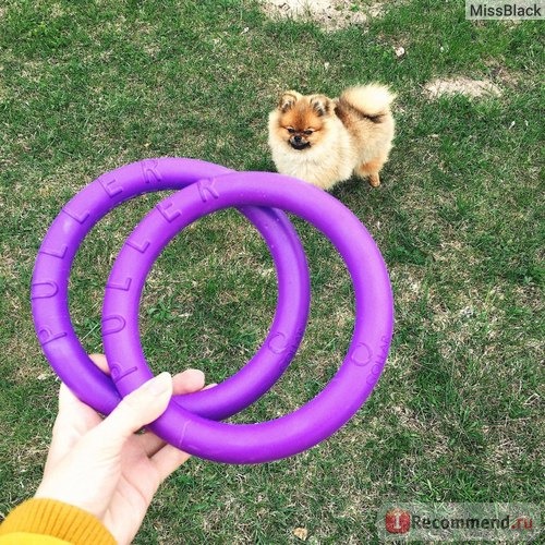 Игрушки для животных COLLAR PULLER игрушка для тренировки собак фото