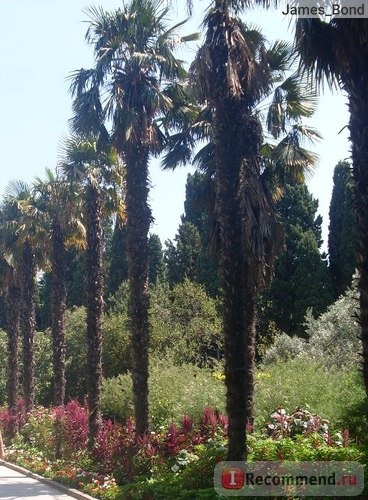 Крым, Никитский Ботанический Сад фото