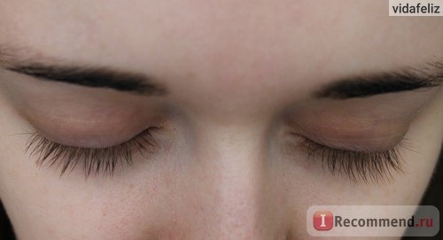 Масло для ресниц и бровей Lucas Cosmetics Brow oil фото