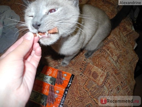 Лакомство EDEL CAT жевательные колбаски для кошек фото