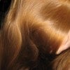 Масло Planeta Organica Органическое масло Сасанквы Укрепление и рост волос фото