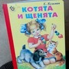 Котята и щенята. Евгений Кузьмин фото