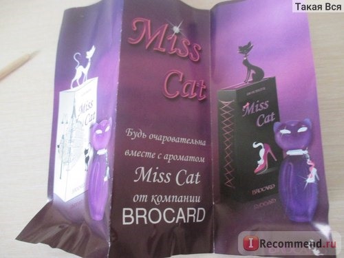Brocard Miss Cat фото