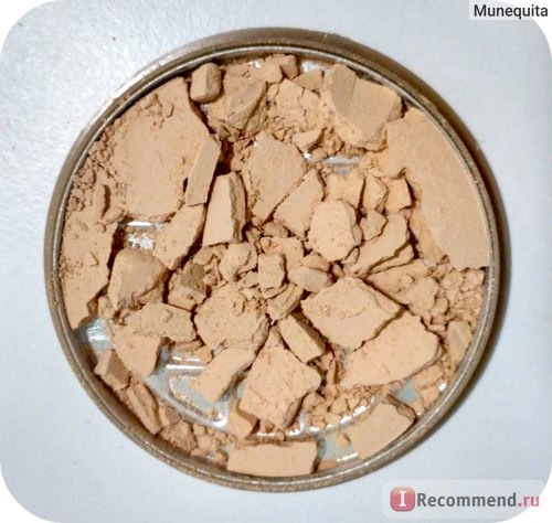 Parisa Cosmetics Mineral Powder