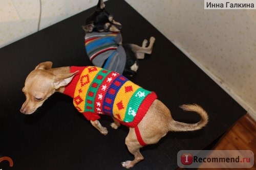 Одежда для собак TRIOL Свитера для животных фото