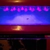 LED лампа для полимеризации гель-лака Runail мини 3 ВАТТ фото