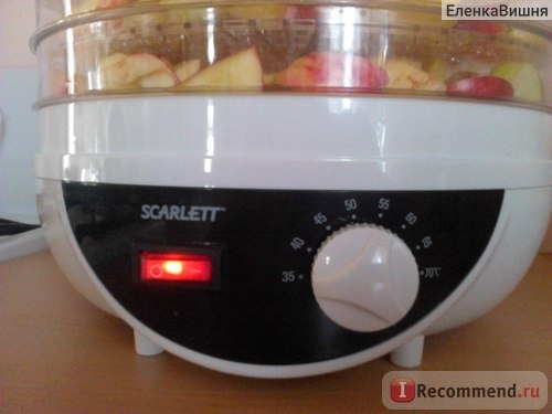 Электросушилка для овощей и фруктов SCARLETT SC-421 фото