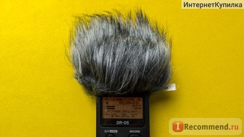 Ветрозащита для диктофона / AliExpress 10cm Microphone Mic Windshield cover Fur Wind Muff Windscreen For Tascam DR-22WL фото