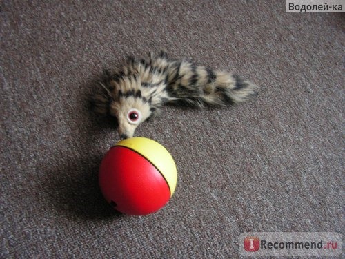 Игрушки для животных Toyco Моторизованный мяч качения для собак кошек фото