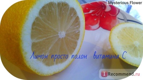 Фрукты Лимон / Citrus limon фото