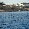 Domina Coral Bay Harem 5 (Домина Корал Бей Гарем) 5*, Египет, Шарм-эль-Шейх фото