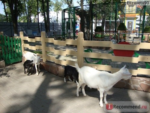 Зоопарк Лимпопо, Нижний Новгород фото