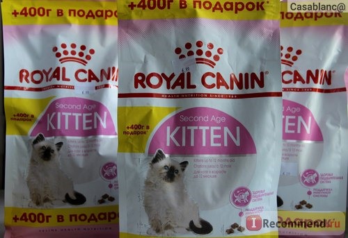 Корм для котят от 4-х месяцев до года от Royal Canin Kitten