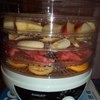 Электросушилка для овощей и фруктов SCARLETT SC-420 фото