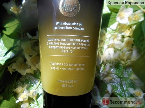 Восстанавливающий шампунь Горчицатрон с маслом абиссинской горчицы и кератиновым комплексом KeraTron фото