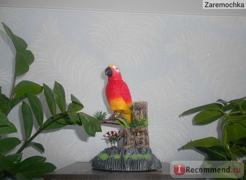 Bird Heartful Игрушка чирикающий попугай фото