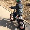 Детский велосипед Royal Baby Freestyle Space №1 Alloy фото