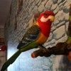 Bird Heartful Игрушка чирикающий попугай фото