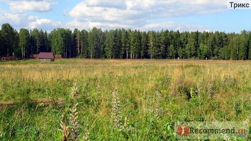 Зубровник в Токсово, Санкт-Петербург фото