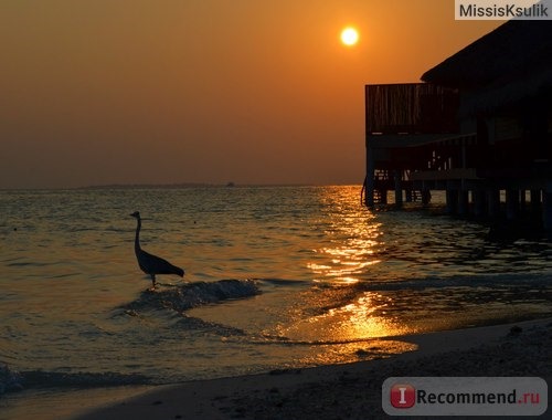 Adaaran Prestige Vadoo 5*, Мальдивы, Dhaalu Atoll фото