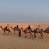 Прогулки на верблюдах по пустыне Сахара