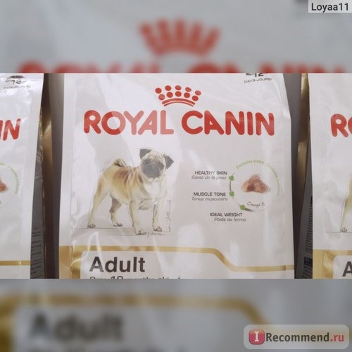 Корм для собак Royal Canin Pug для мопсов фото