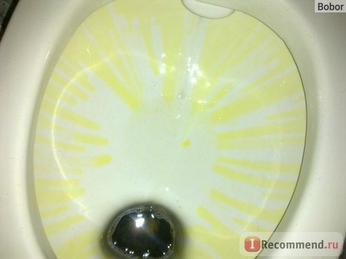 Очиститель унитазов Frosch WC Gel Лимон фото