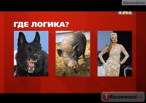 Где логика? фото