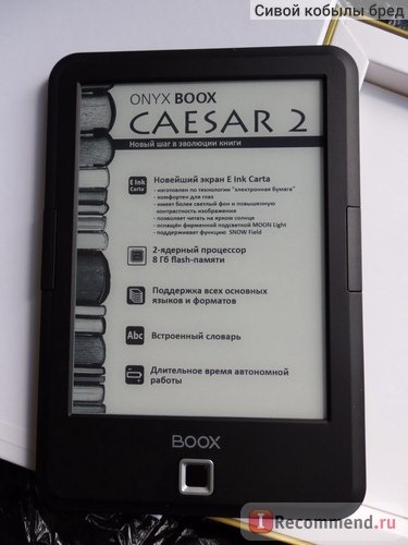 Электронная книга ONYX BOOX CAESAR 2 фото