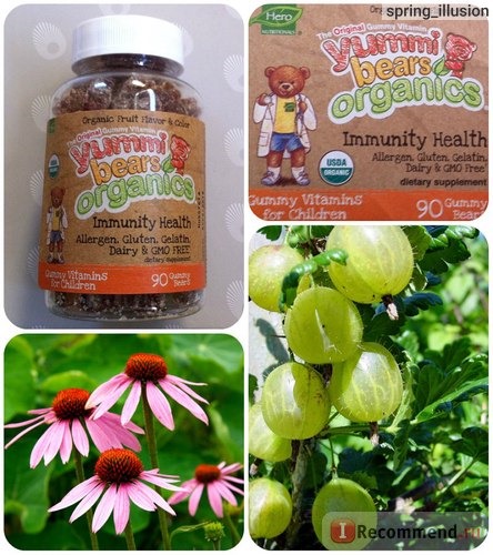 Витамины Hero Nutritional Products Yummi Bears Organics Immunity Health, 90 Gummy фото