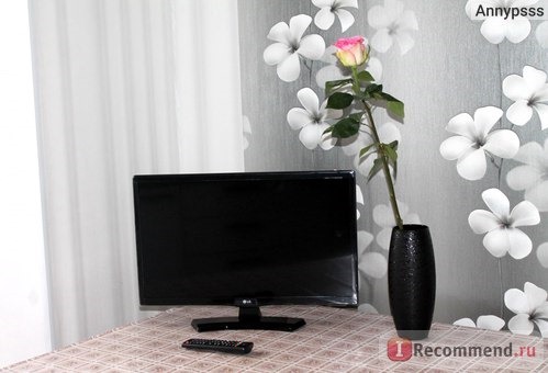 LED-телевизор LG 24MT48S-PZ SMART TV фото