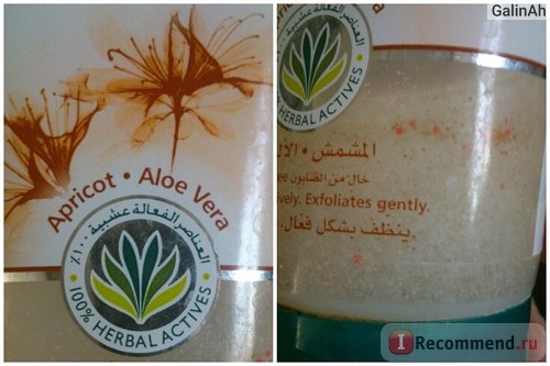 Скраб для лица Himalaya herbals Gentle exfoliating Daily face wash Apricot Aloe vera фото