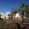 Otium Hotel Aloha Sharm 4*, Египет, Шарм-эль-Шейх фото