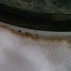Очиститель плит , духовок и свч-печей ПАРМА-1 фото