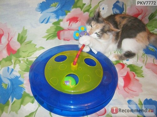 Игрушки для животных Petstages для кошек 