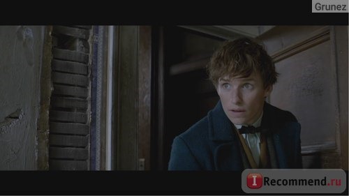 Фантастические *xxxxx* и где они обитают / Fantastic Beasts and Where to Find Them фото