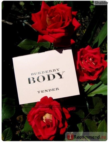 Burberry Body Tender фото